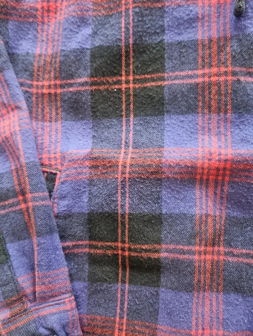L.L. Bean bean scotch